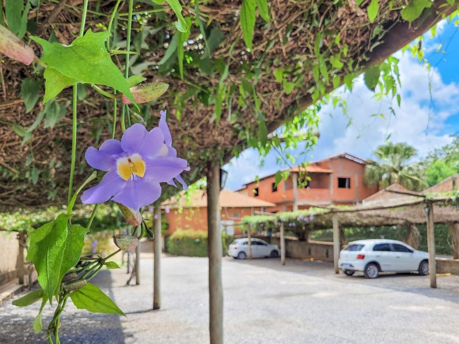 Hotel Pousada Aguas De Bonito Bonito  Exterior foto